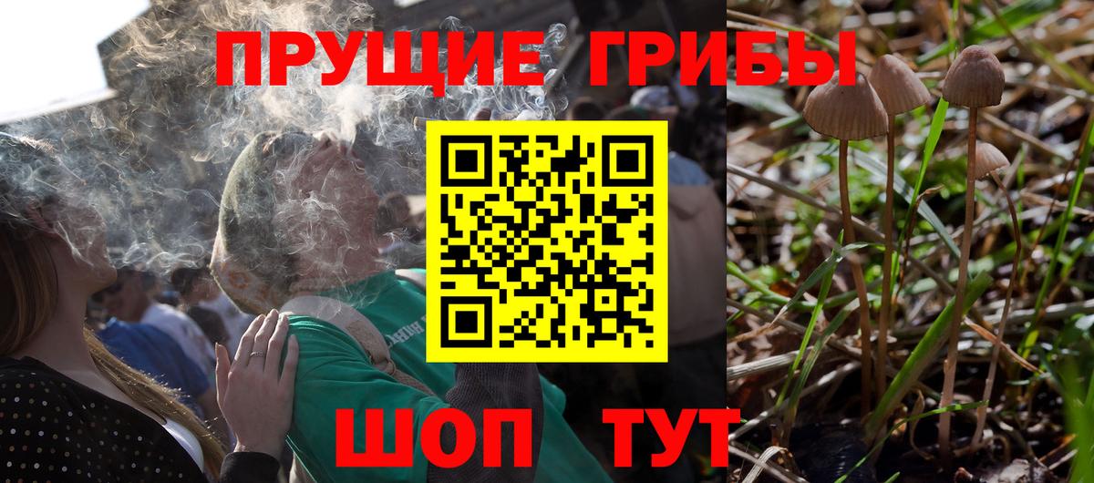 Галлюциногенные грибы Cubensis  Псилоцибиновые грибы Magic Shrooms  Мценск  Вход с VPN 